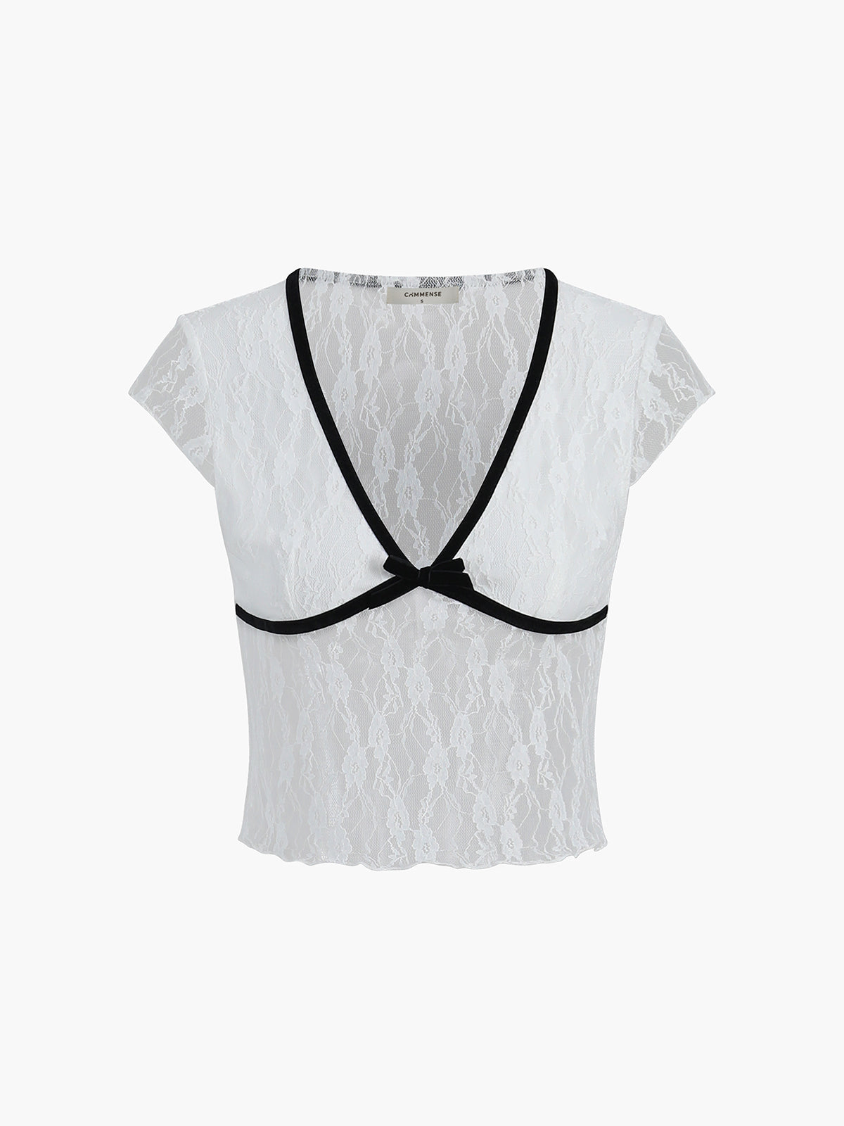 Shine In Summer Sheer Lace Contrast Trim Top