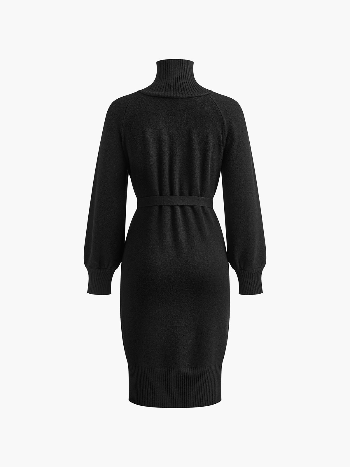 Turtleneck Button Belted Sweater Dress