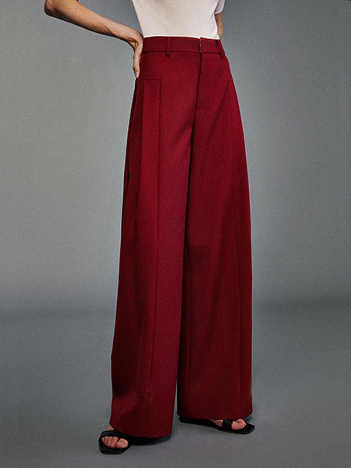 Pleated Wide-Leg Pants