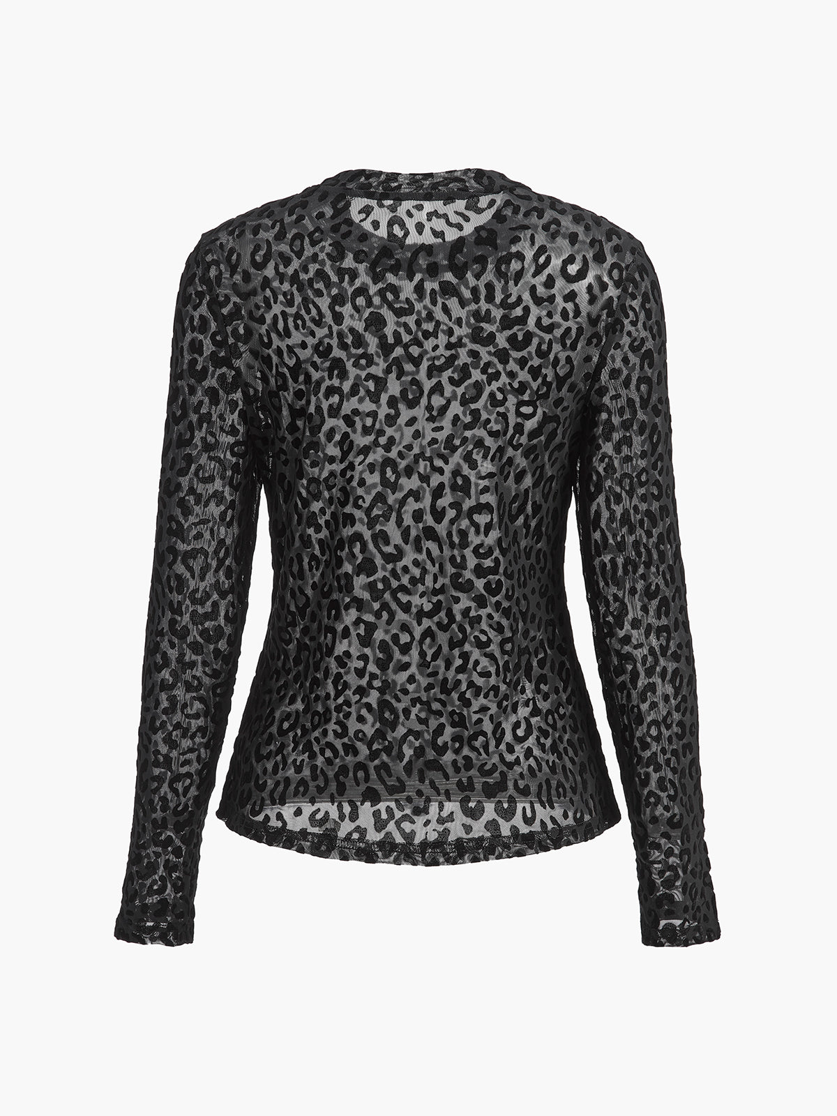 Leopard Printed Sheer T-Shirt