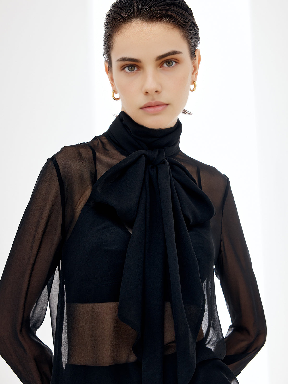 Sheer Bow Chiffon Shirt