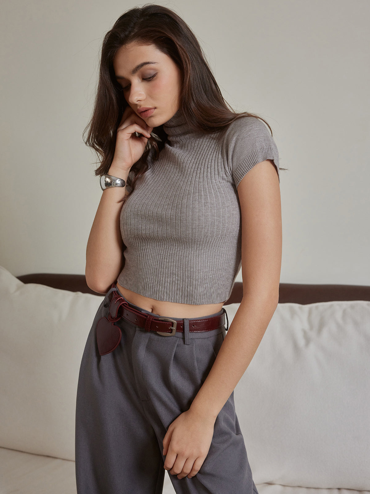 Turtleneck Skinny Crop Knit Top